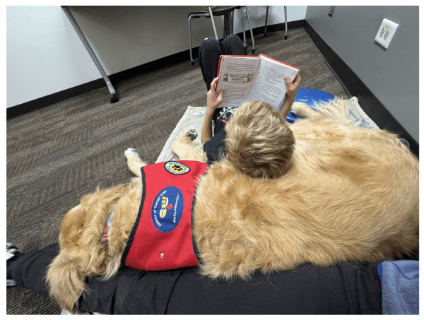 Pages and Paws
