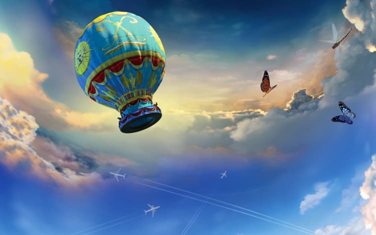 Dream to Fly
