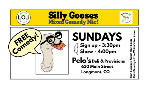 Silly Gooses: Mixed Comedy Mic