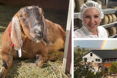 Make Cheese Like a Pro + Goat Farm Tour