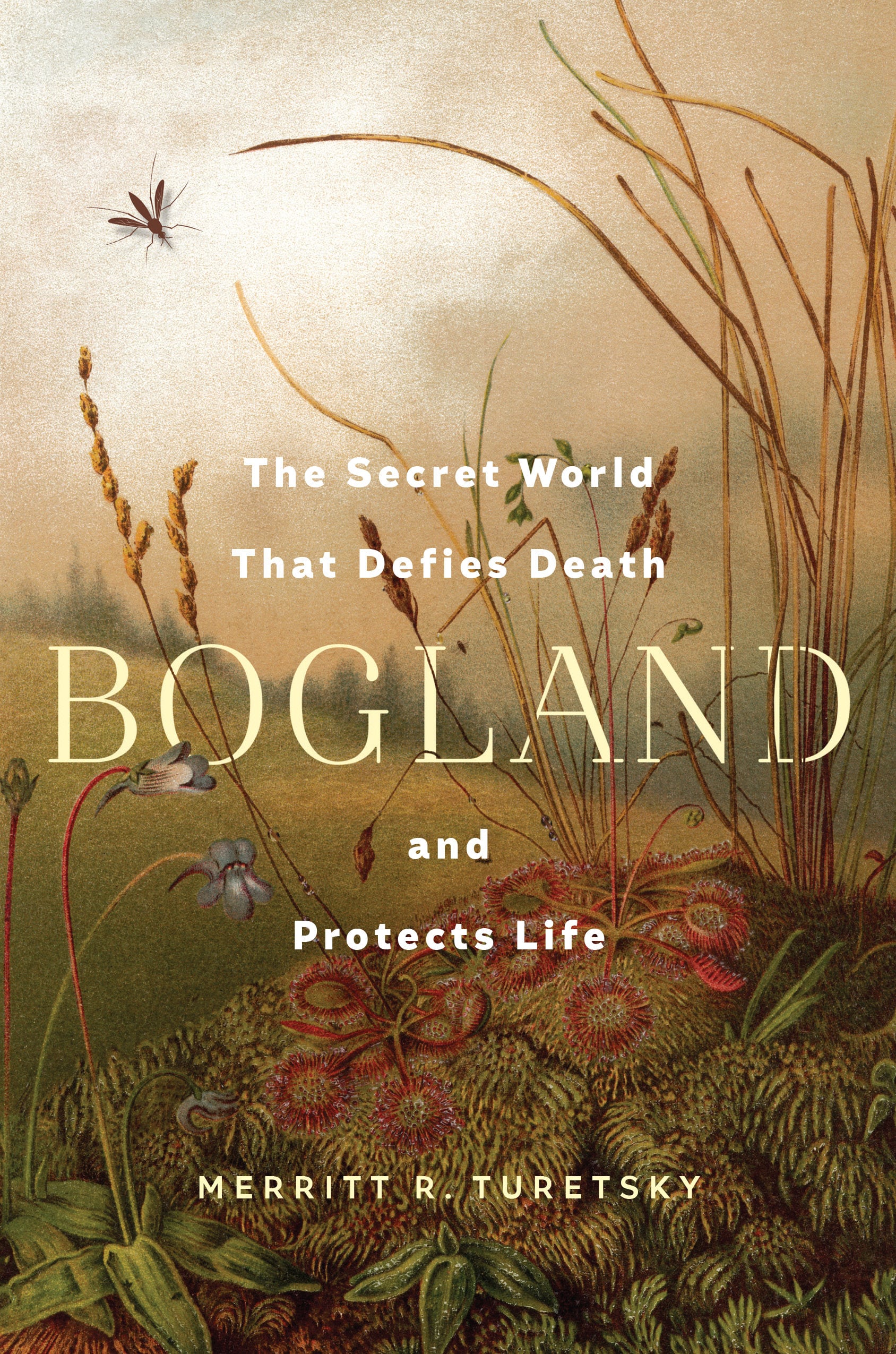 Merritt R. Turetsky -- "Bogland," with Hillary Rosner