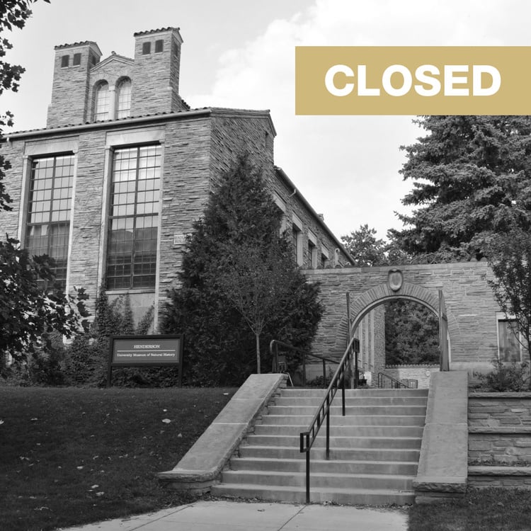 CU Museum of Natural History closed November 26 & 27, 2026