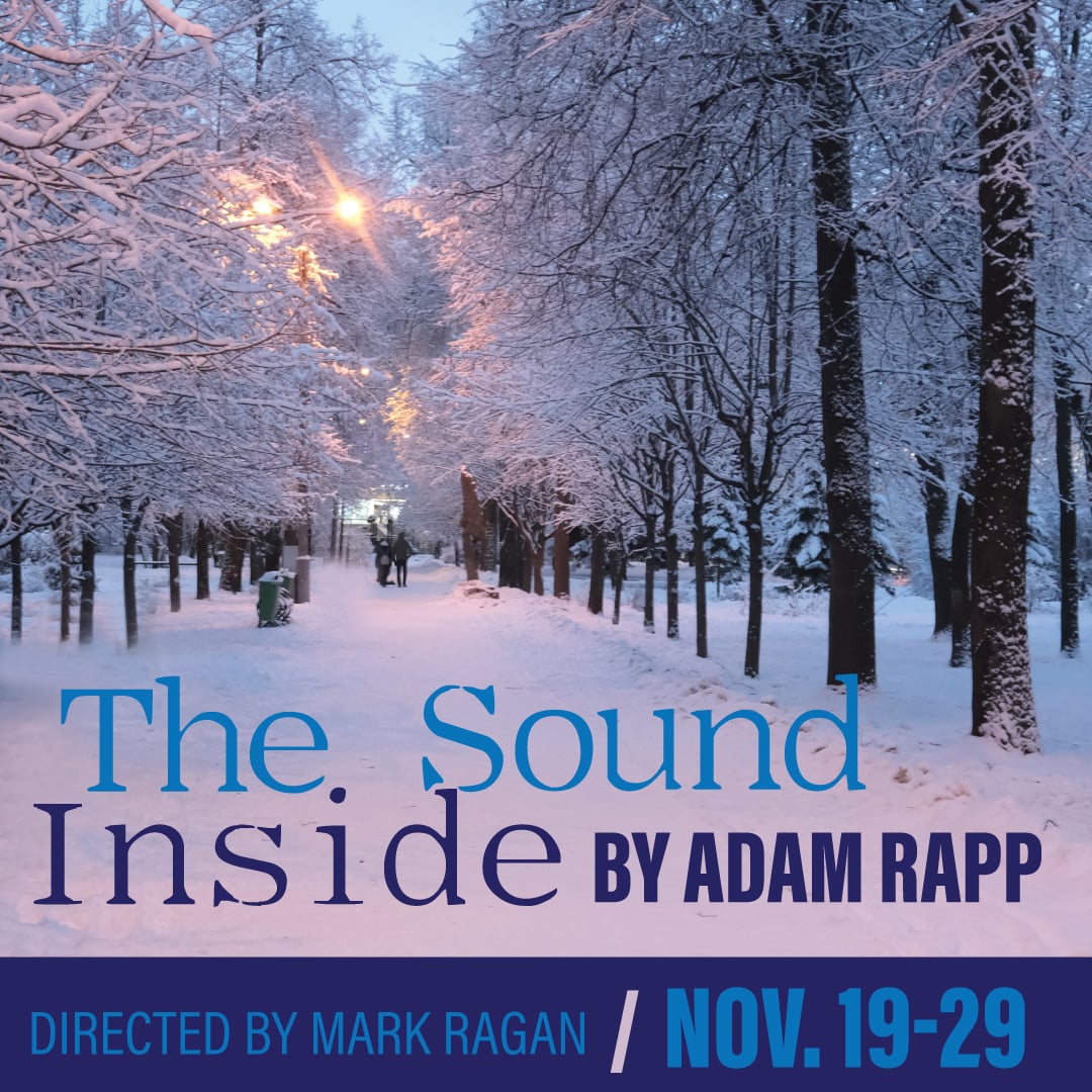 Boulder Ensemble Theatre Company (BETC): The Sound Inside | NOV. 19-29