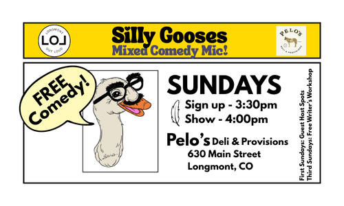 Silly Gooses: Mixed Comedy Mic