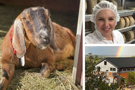 Make Cheese Like a Pro + Goat Farm Tour